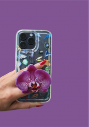 White and purple orchid adhesive