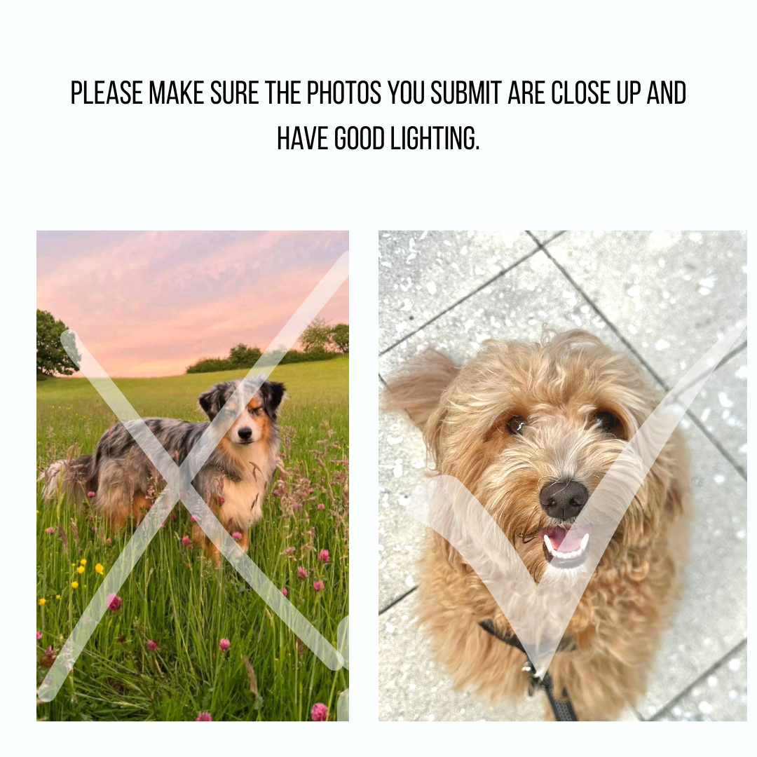 Limited Edition custom pet phone grip