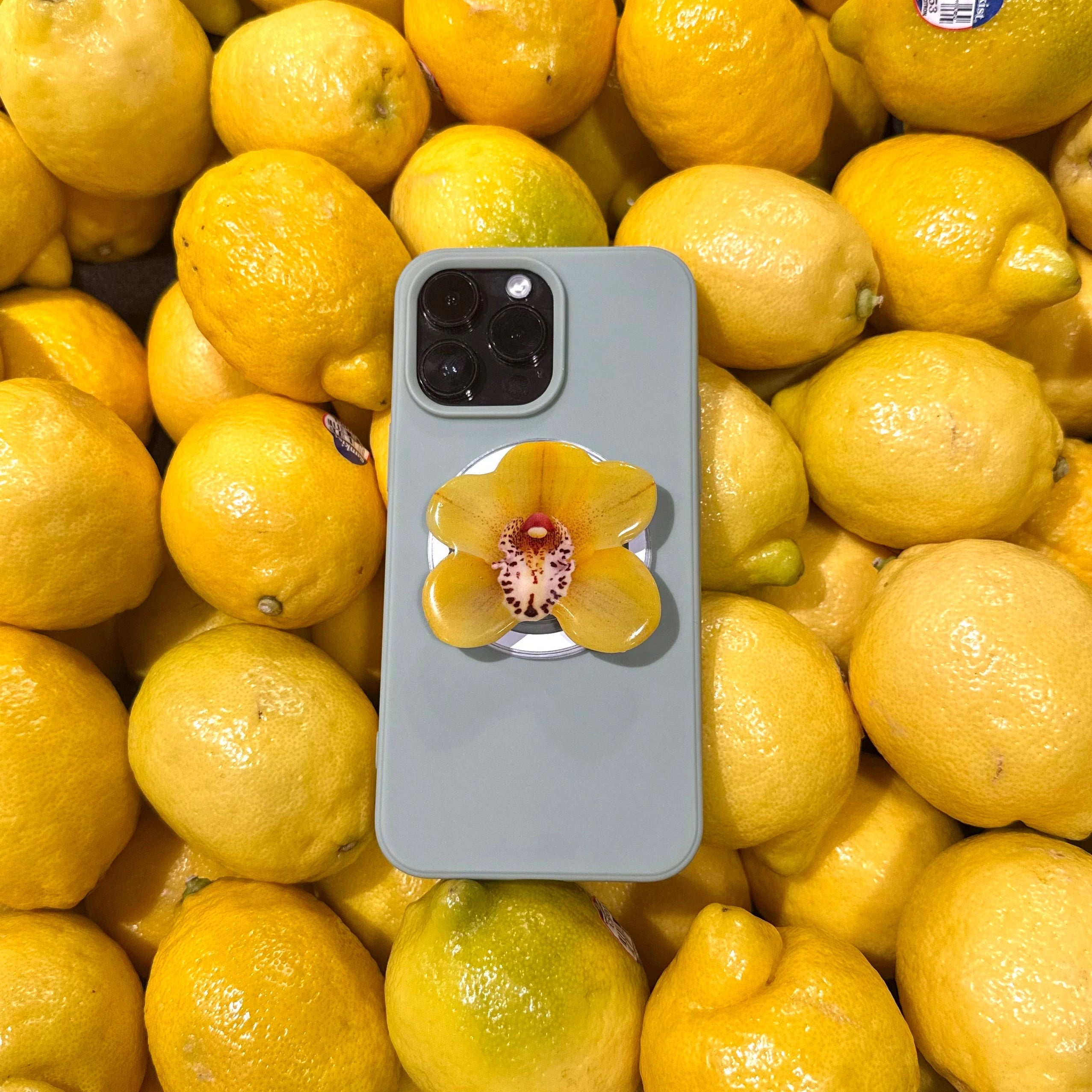 Summer Limited Edition