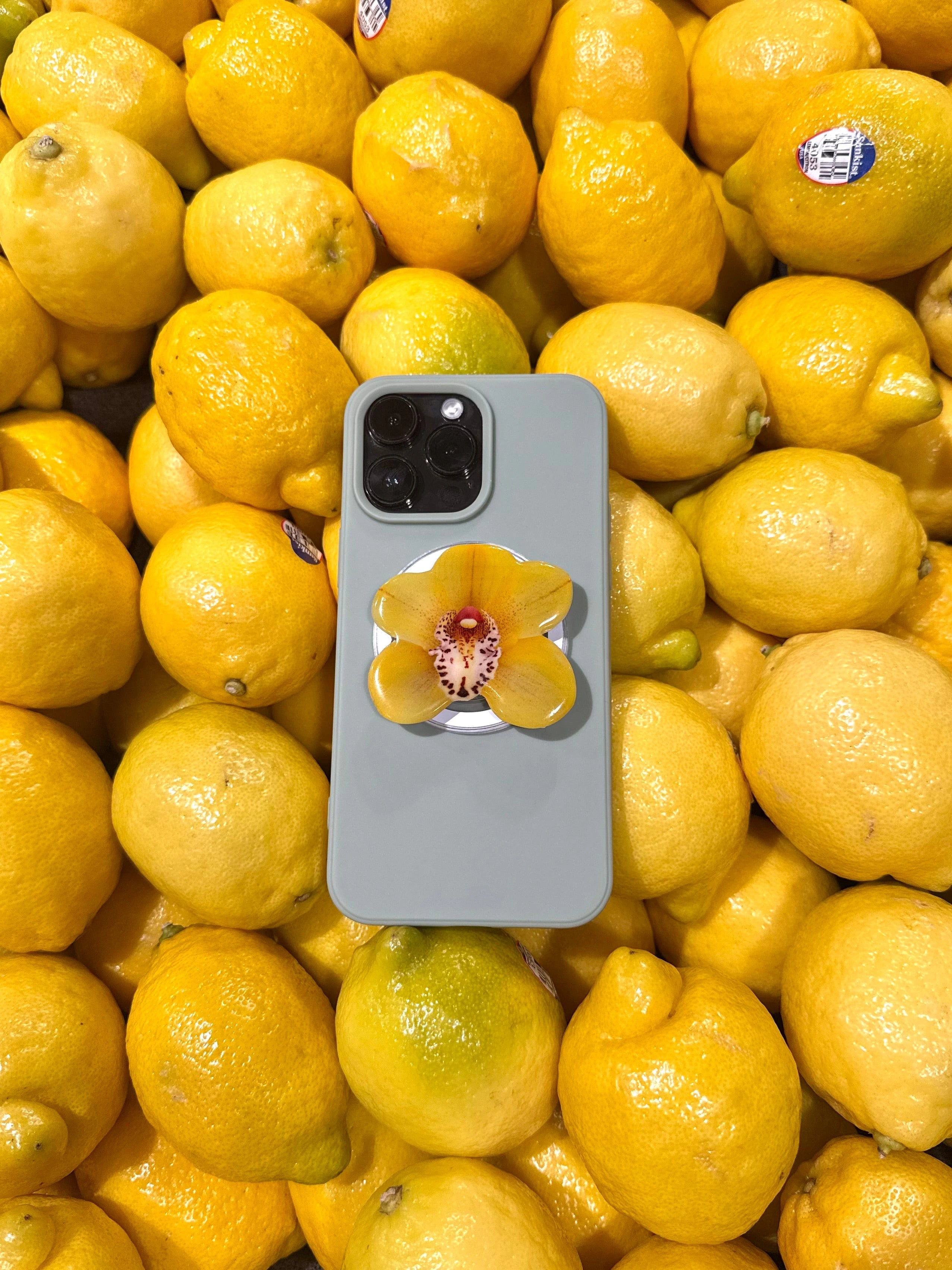 Summer Limited Edition