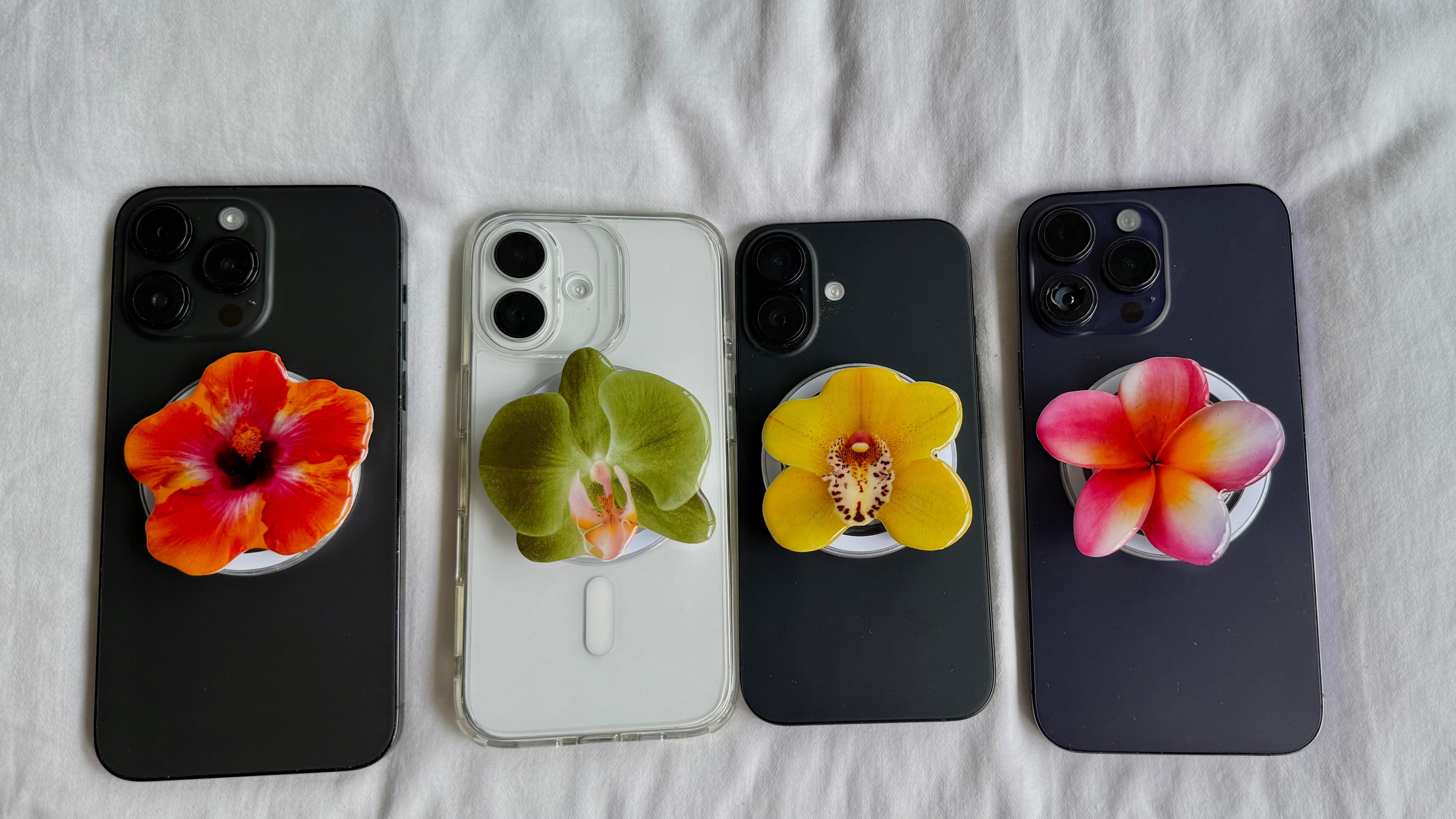 Shop All