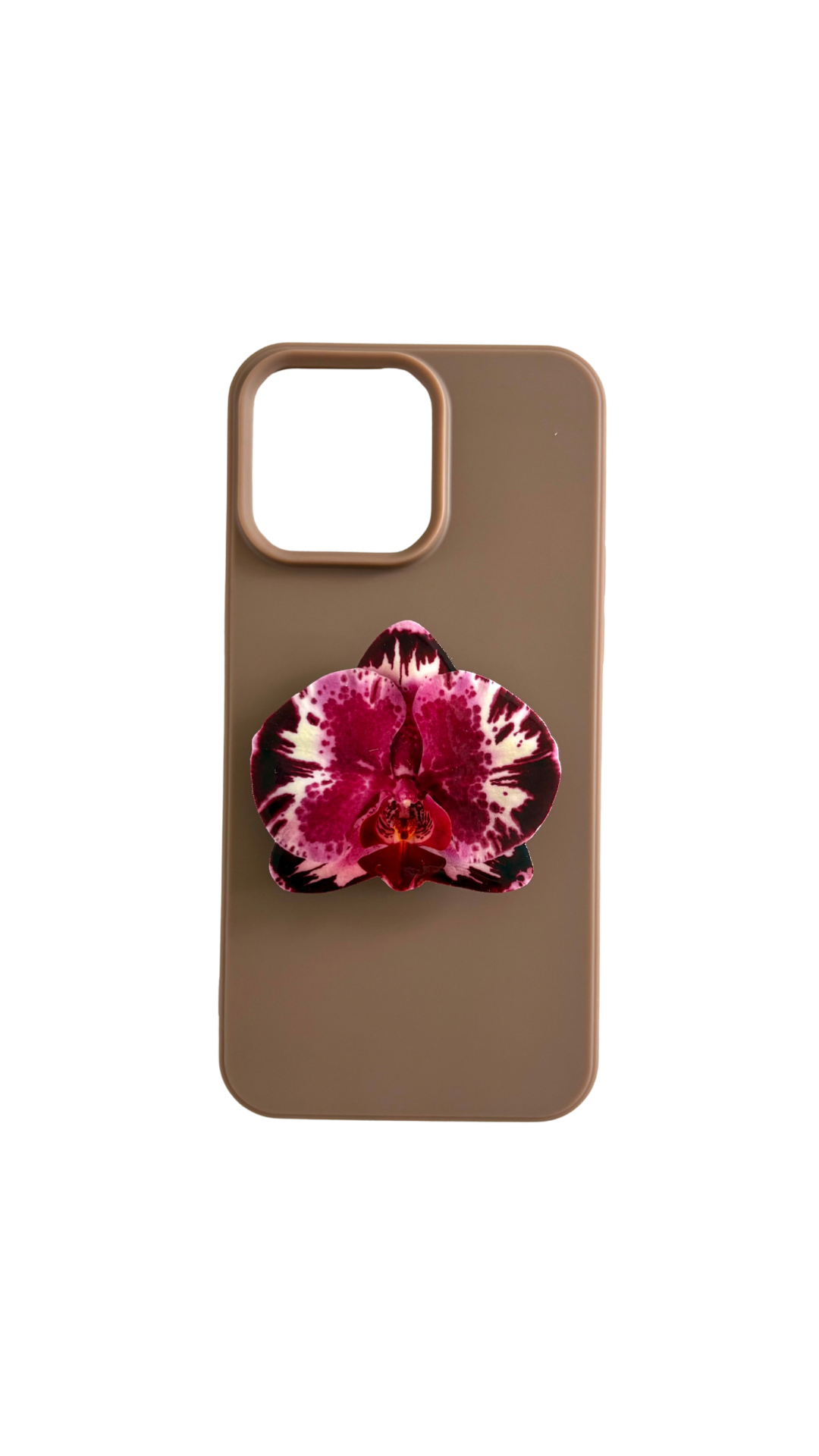 White and purple orchid adhesive