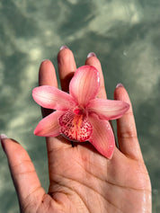 Pink petal sticky phone grip