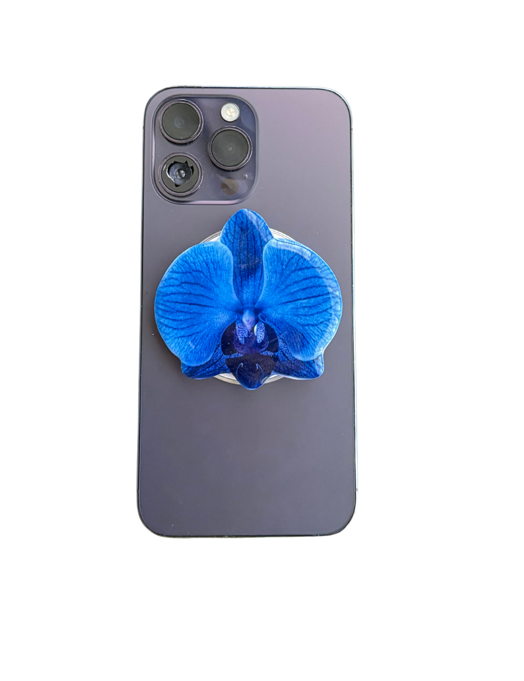 3858D0EC-A56F-4BBF-BAE0-518B90730EC0.png