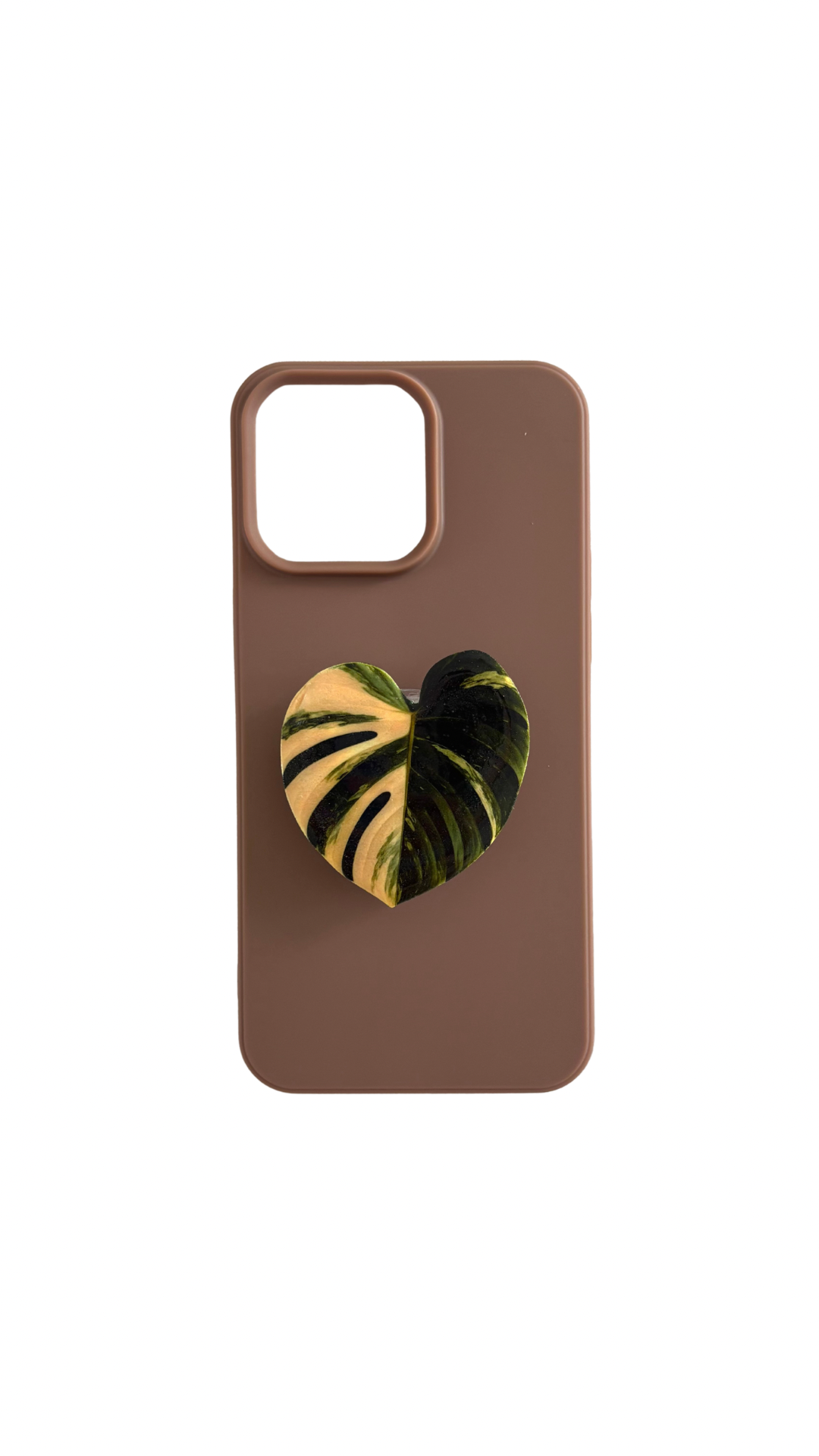 Monstera leaf adhesive