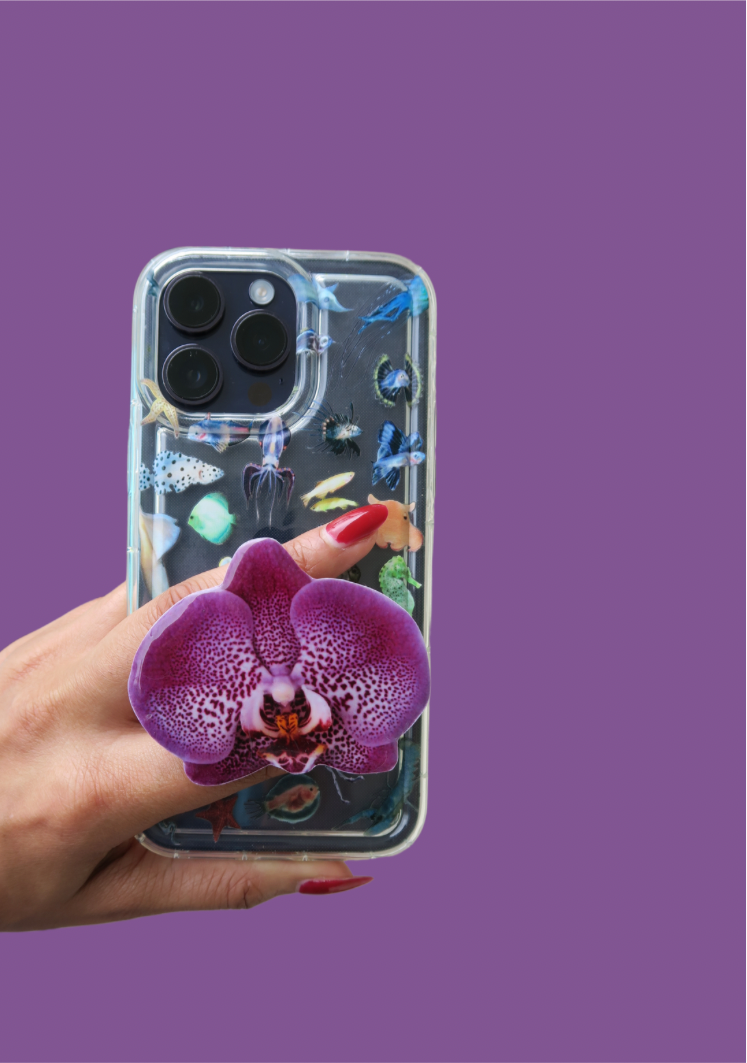 White and purple orchid adhesive