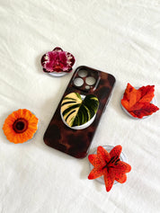 Monstera leaf MagSafe