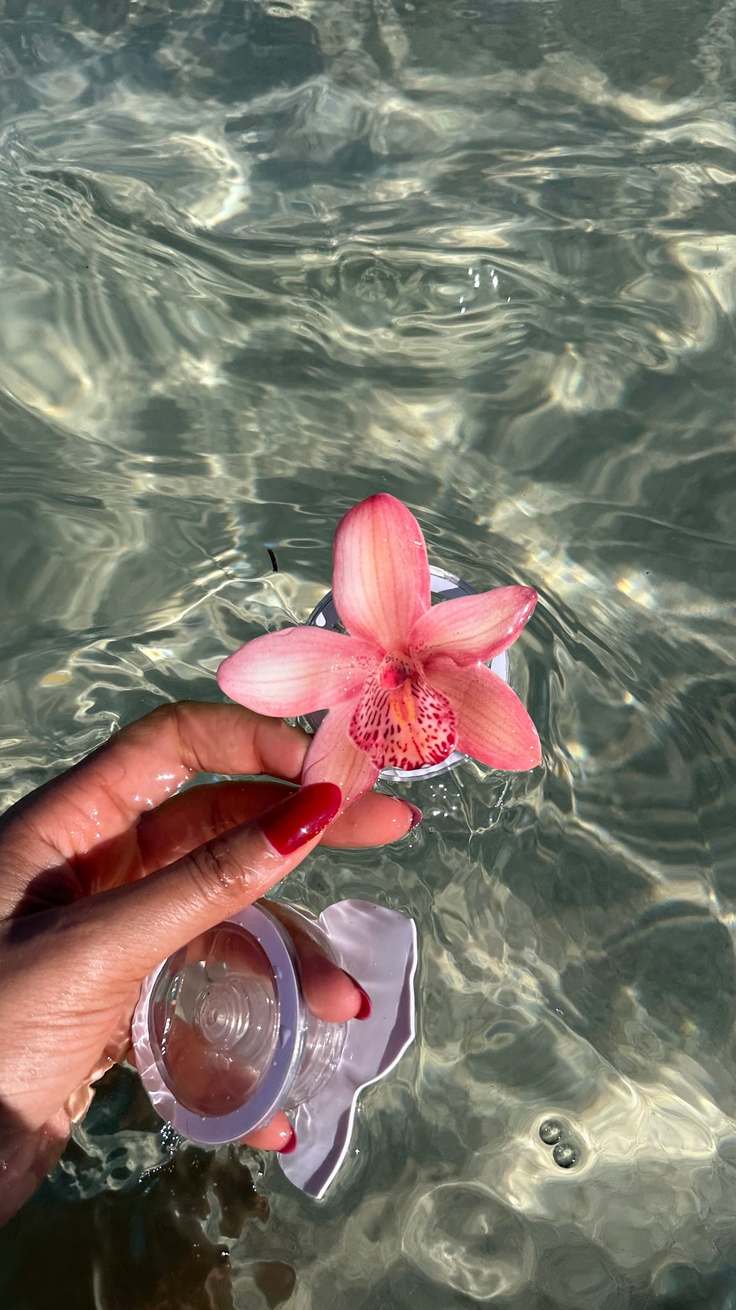 Pink petal MagSafe