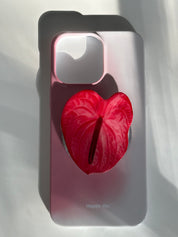Red Anthurium MagSafe flower pop