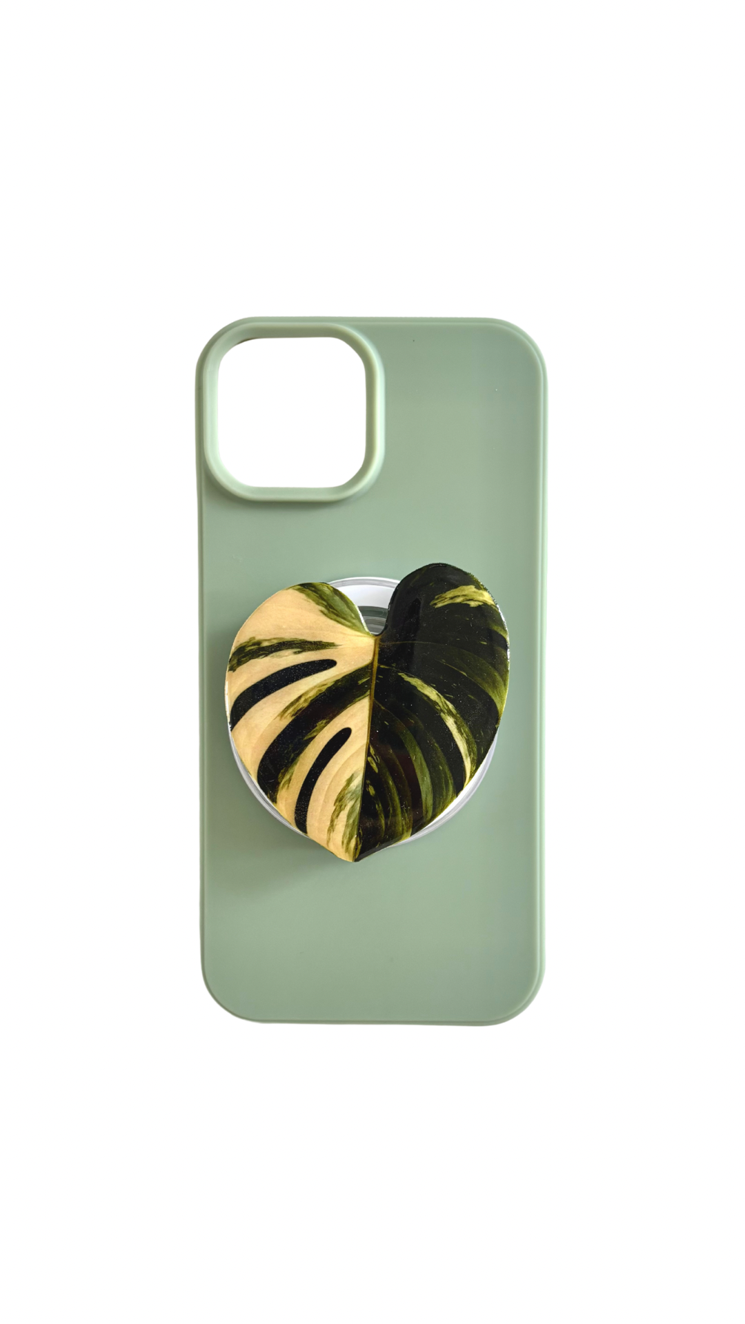 Monstera leaf MagSafe