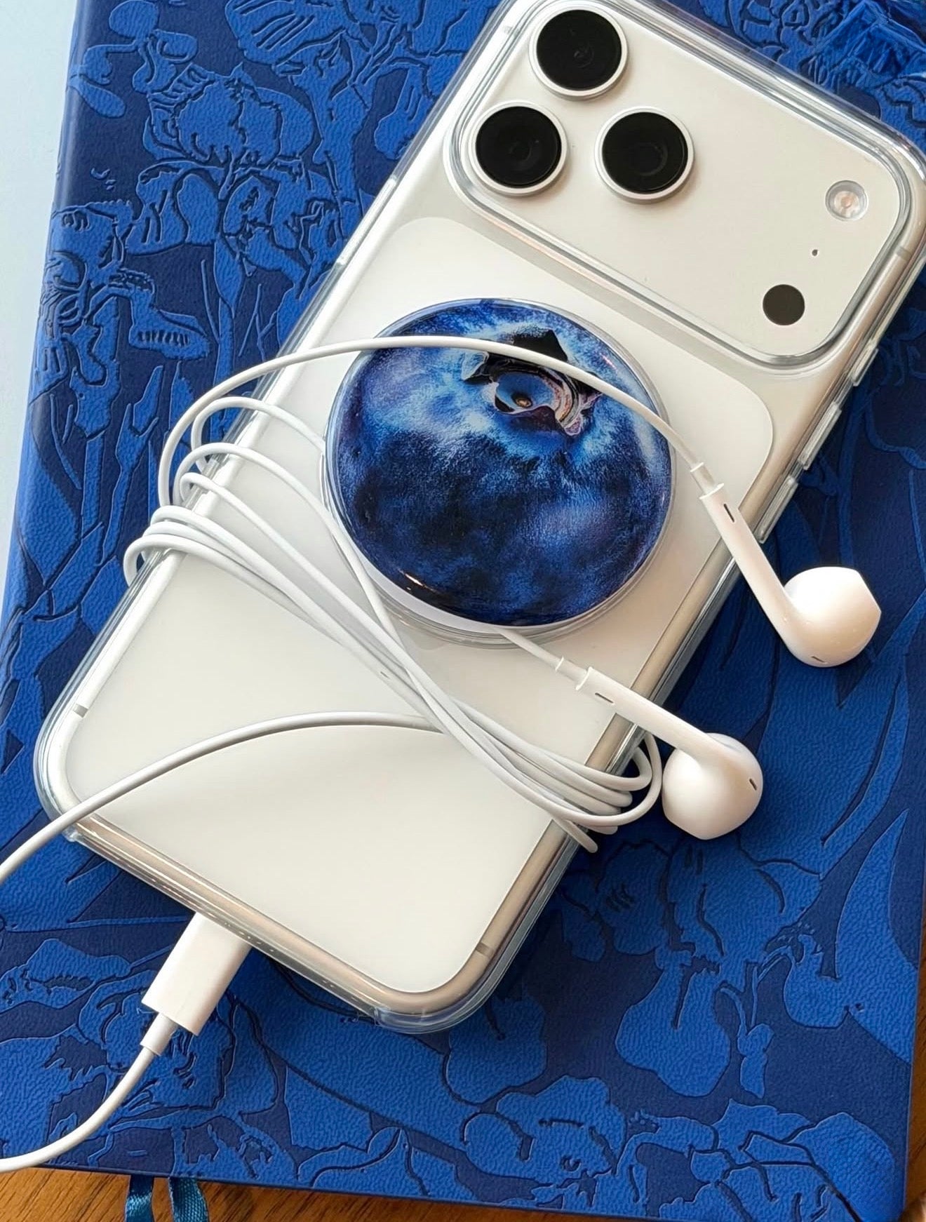 Blueberry Phone Grip