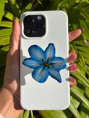 Blue Lily adhesive