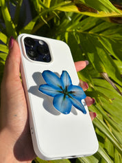 Blue Lily adhesive