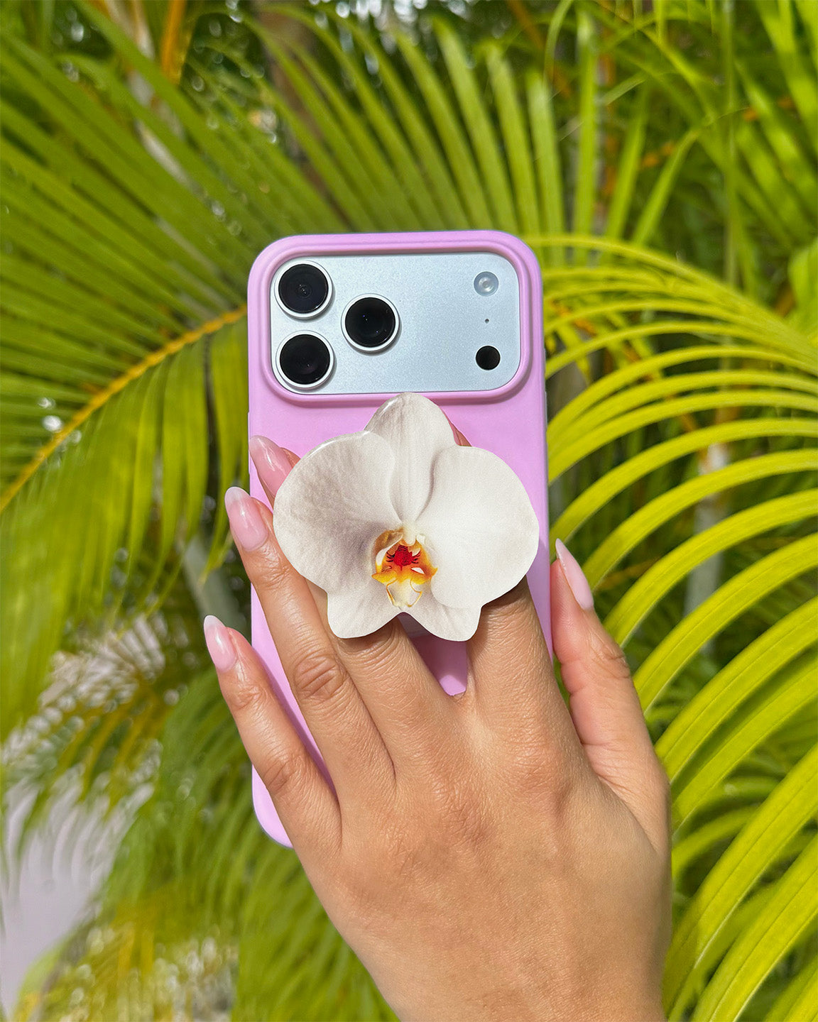 Our Orchids – Untouched Blooms