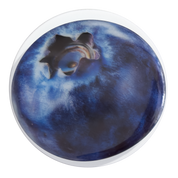 Blueberry Phone Grip