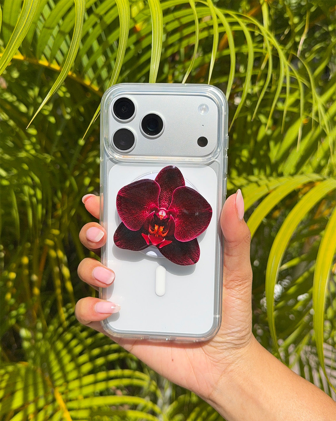 Our Orchids – Untouched Blooms